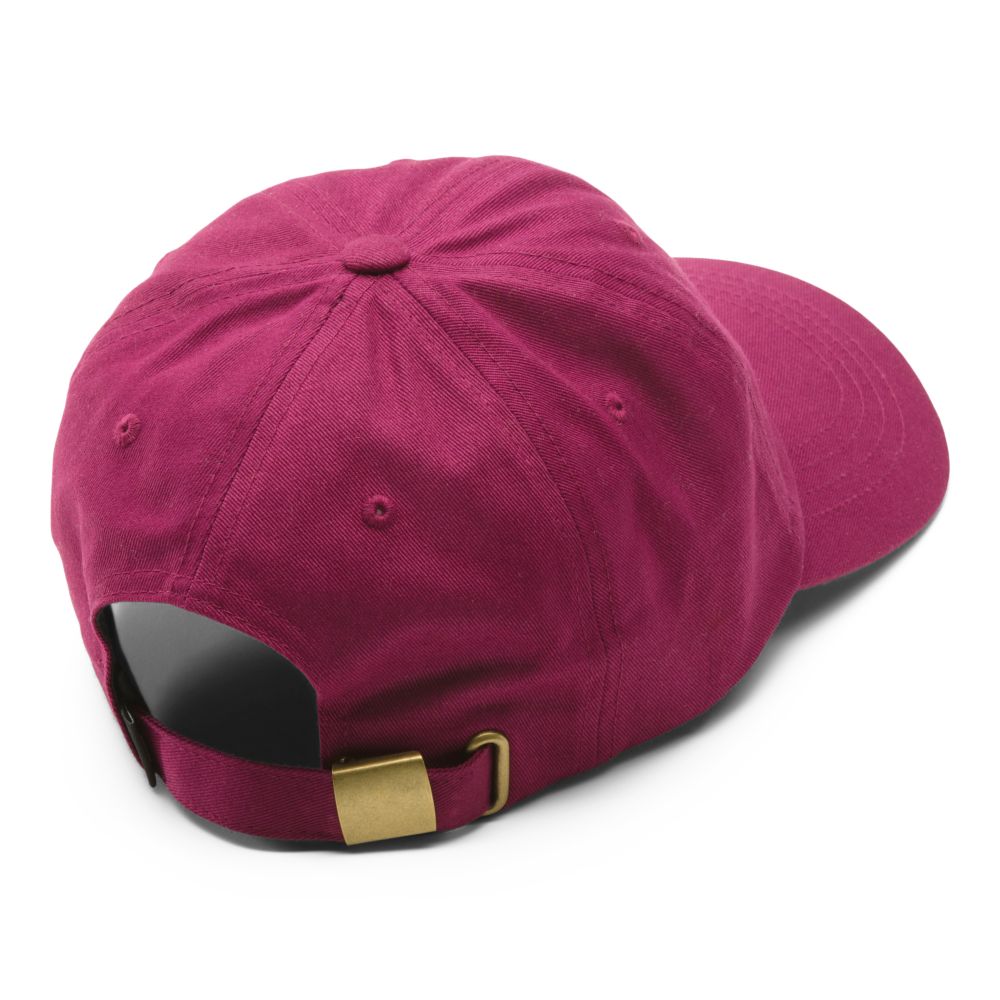 Vans Curved Bill Jockey Hatt Herr Lila | 13689EQSP