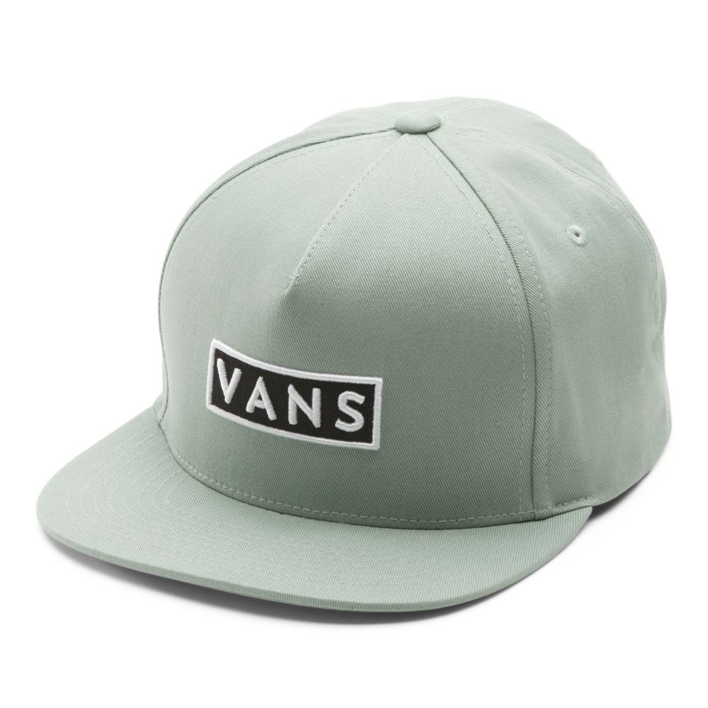 Vans Easy Box Snapback Hatt Herr Gröna | 68459TGJF