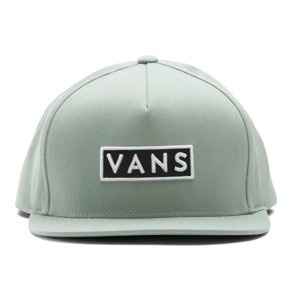 Vans Easy Box Snapback Hatt Herr Gröna | 68459TGJF