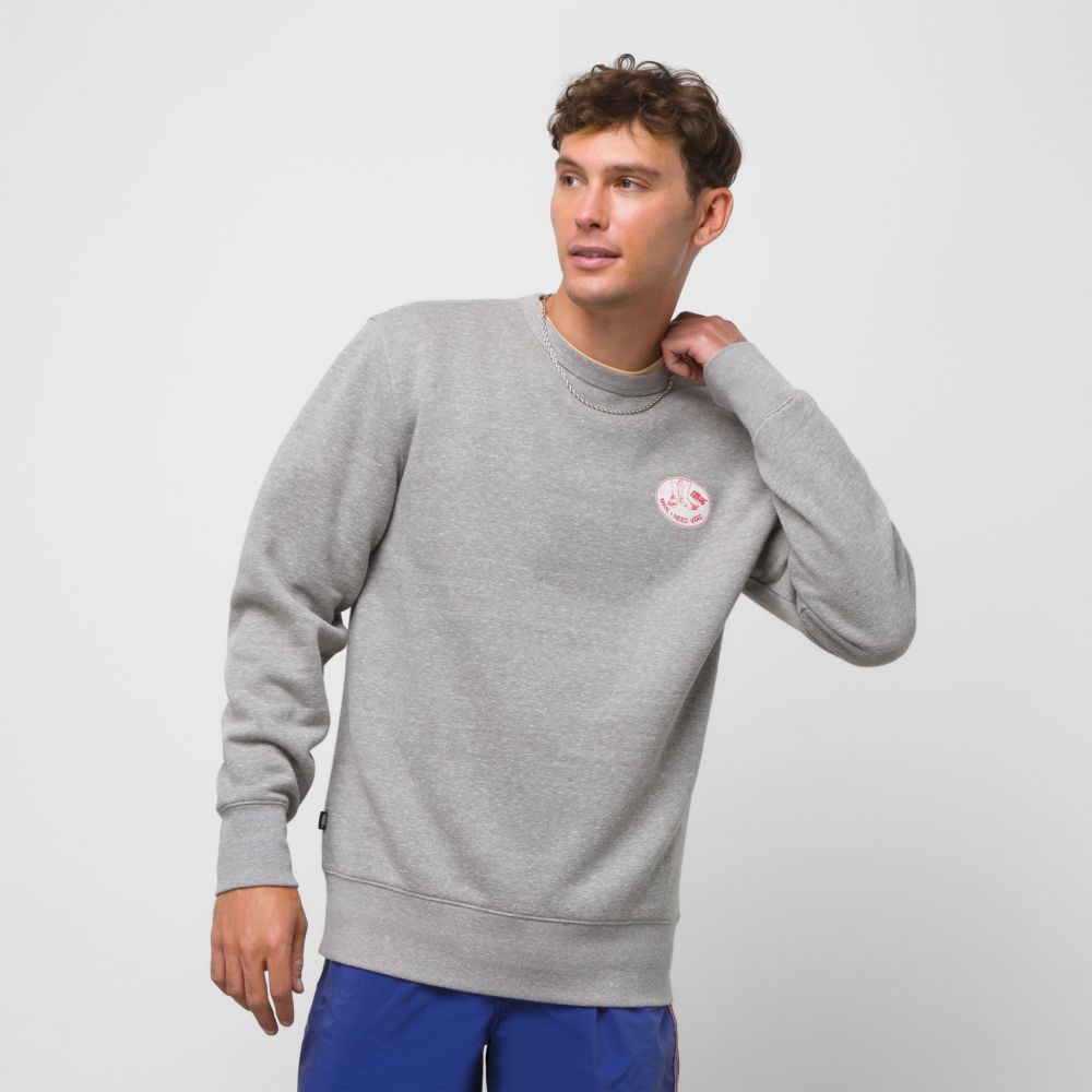 Vans Elmore Surfboards Wash Fleece Hoodie Dam Grå | 16048QCKA