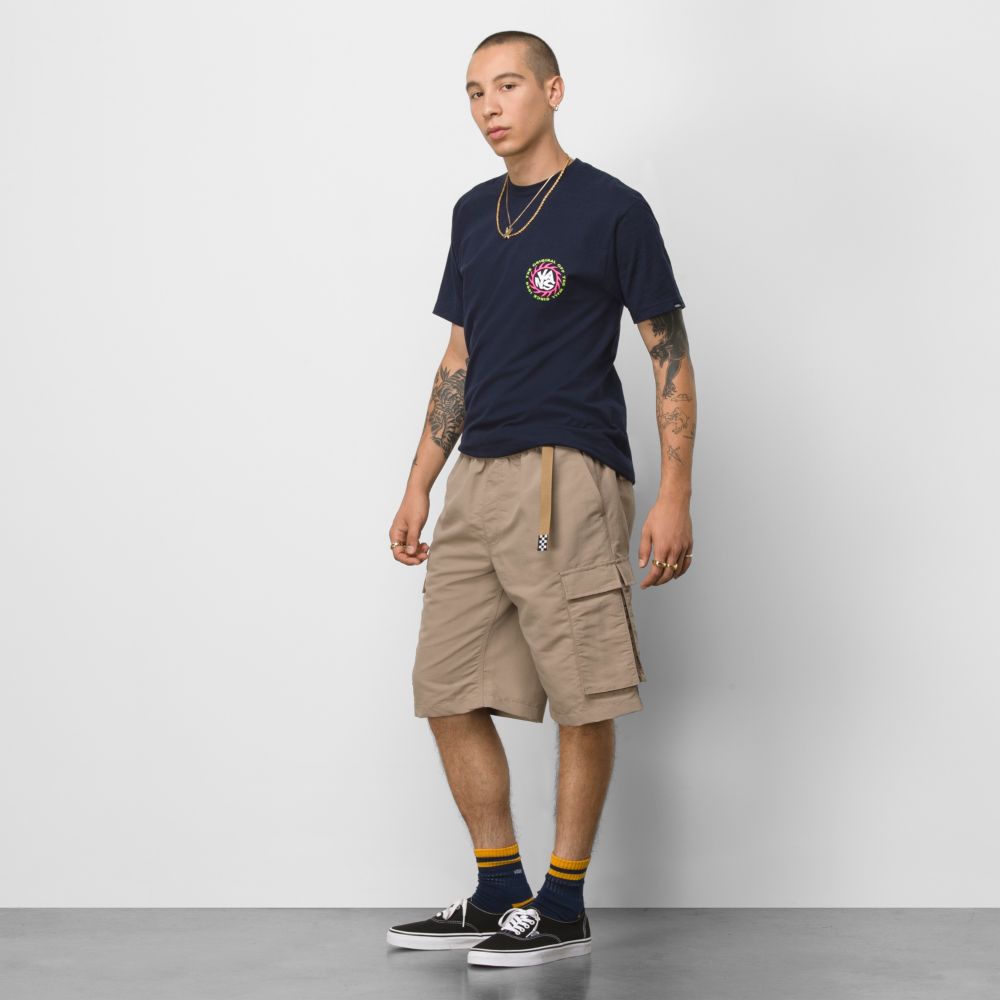 Vans Grove Loose Nylon Cargo 23 Shorts Herr Grå Bruna | 76123SGXK