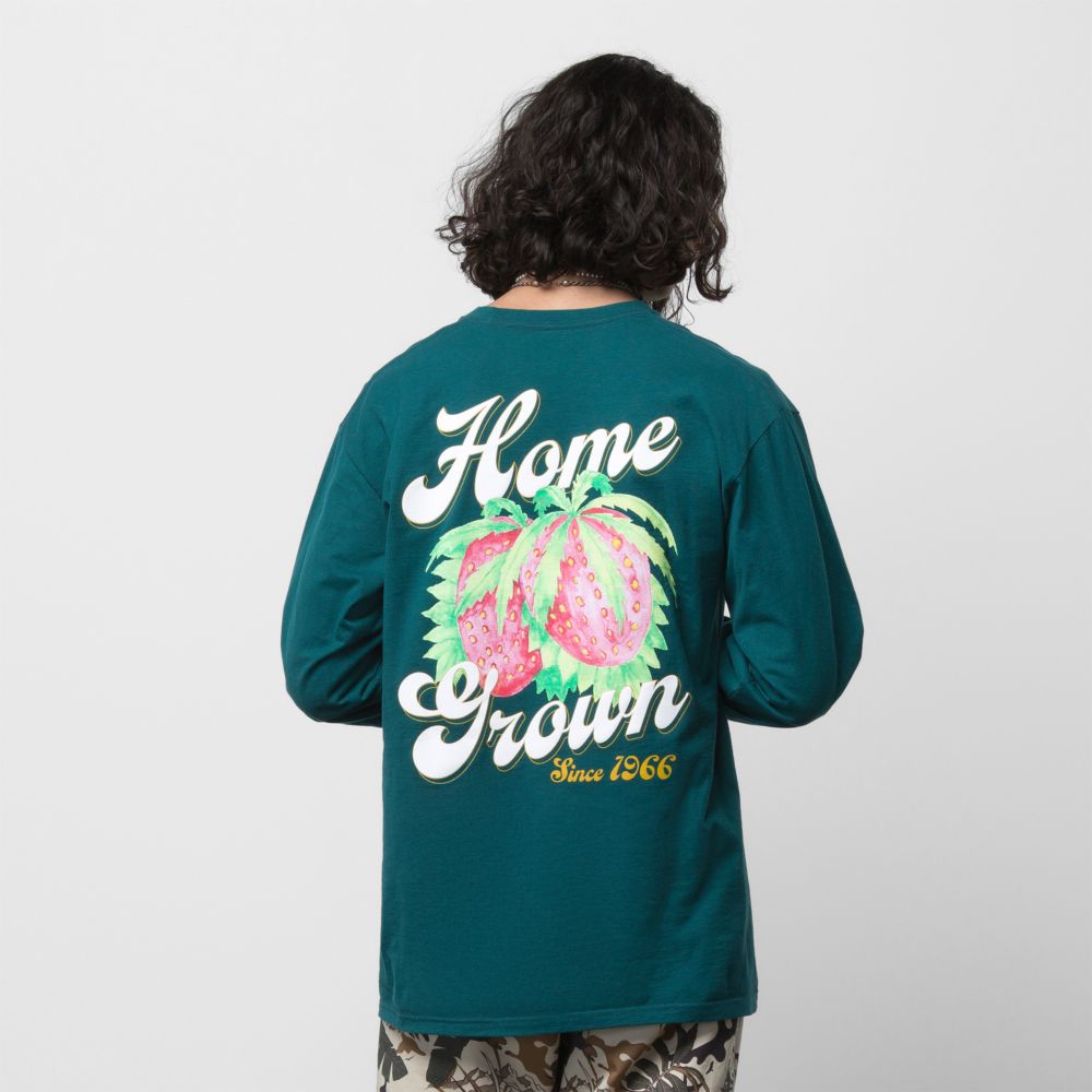 Vans Home Grown T-shirt Herr Mörkturkos | 81769SEQR