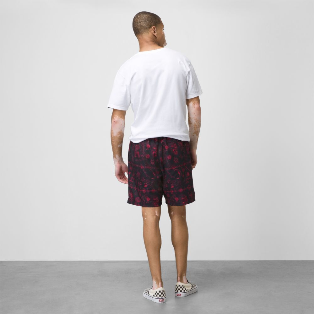 Vans Mike Gigliotti Volley Shorts Herr Svarta | 75128AEZN