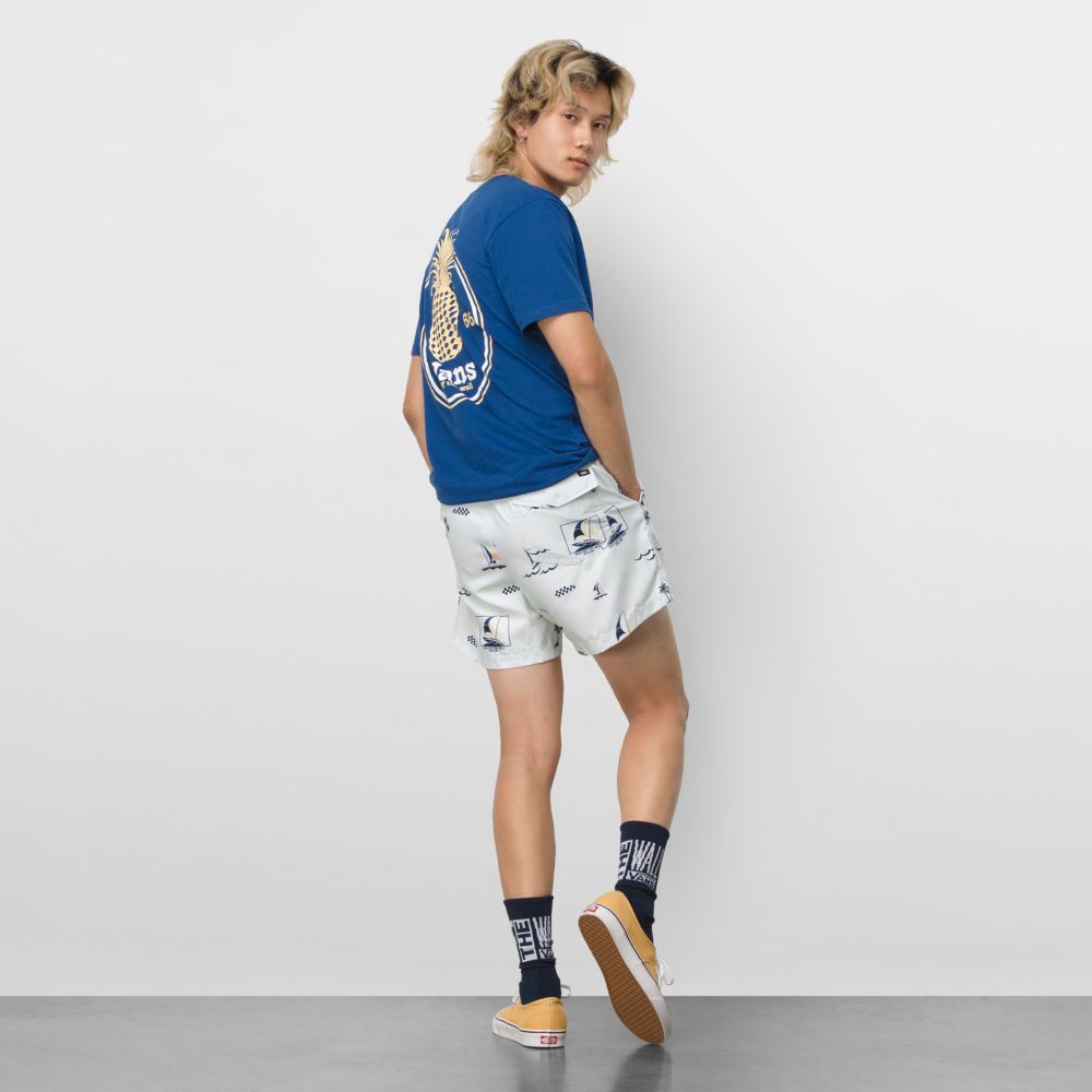 Vans Mixed 16 Volley Shorts Herr Blå | 97351DROI