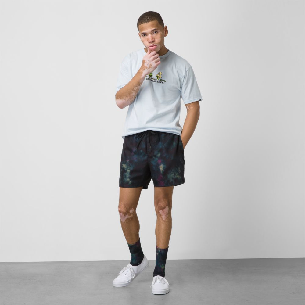 Vans Mixed 16 Volley Shorts Herr Svarta Lila Ljusgröna | 28579FSRC