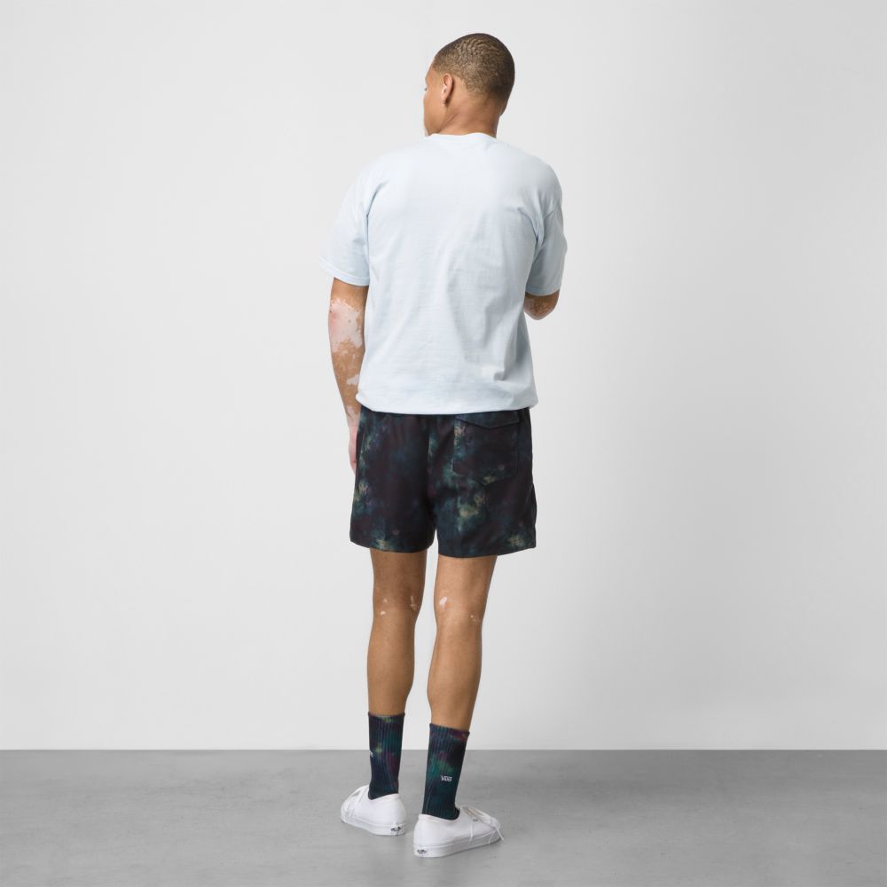 Vans Mixed 16 Volley Shorts Herr Svarta Lila Ljusgröna | 28579FSRC