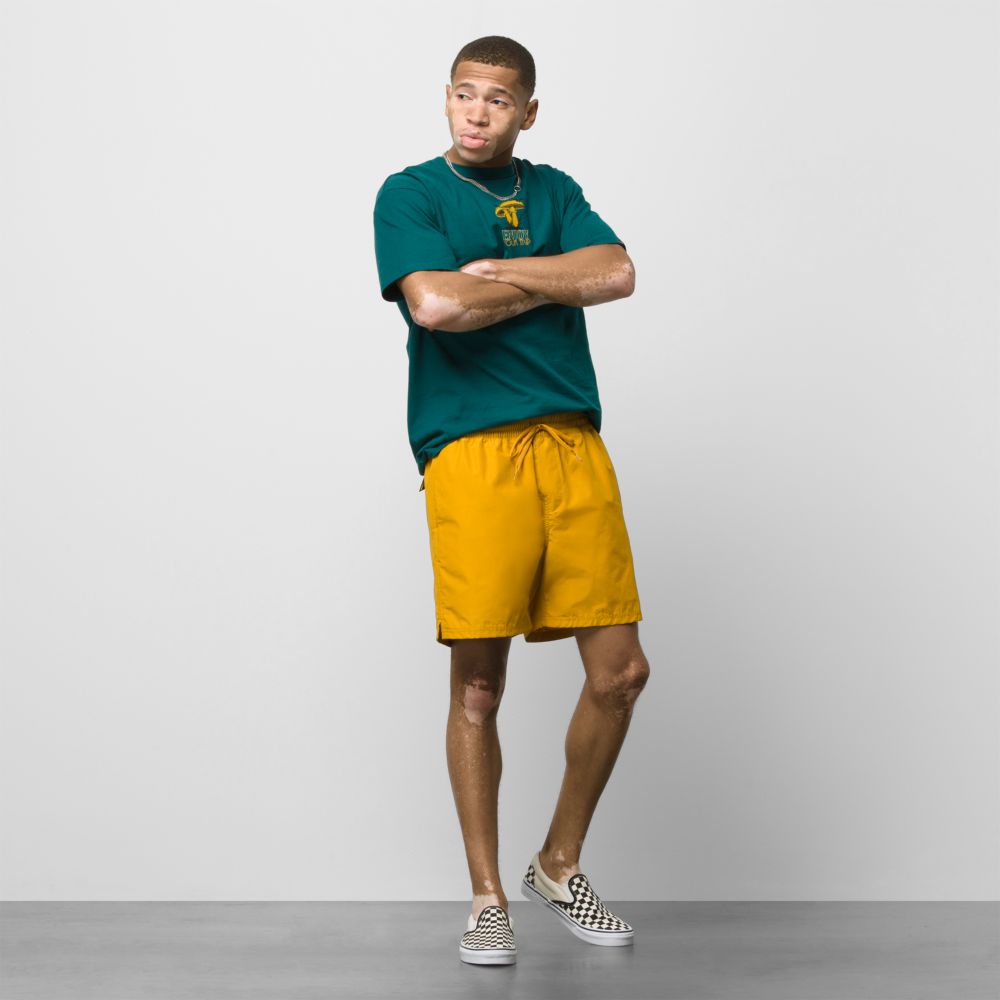 Vans Primary 17 Volley Shorts Herr Gula | 24183ELDU