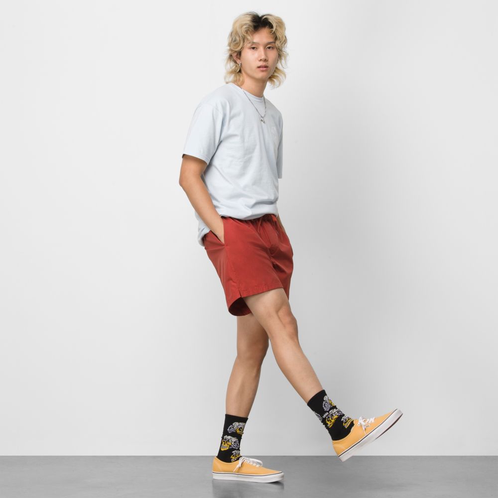 Vans Primary 17 Volley Shorts Herr Röda | 37482PGFC