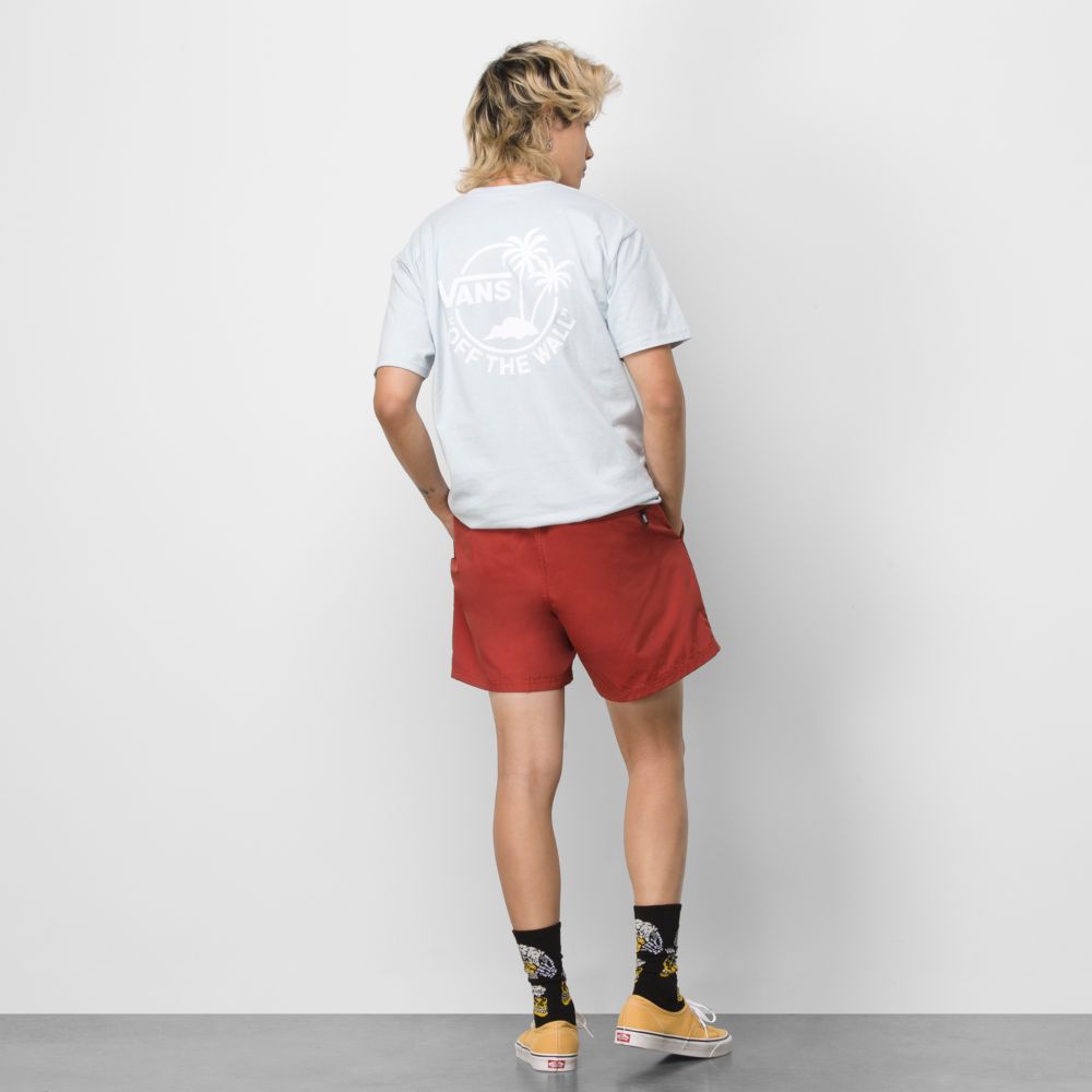 Vans Primary 17 Volley Shorts Herr Röda | 37482PGFC