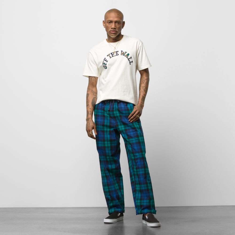 Vans Range Anaheim Baggy Sweatpants Herr Gröna | 48920KCXL