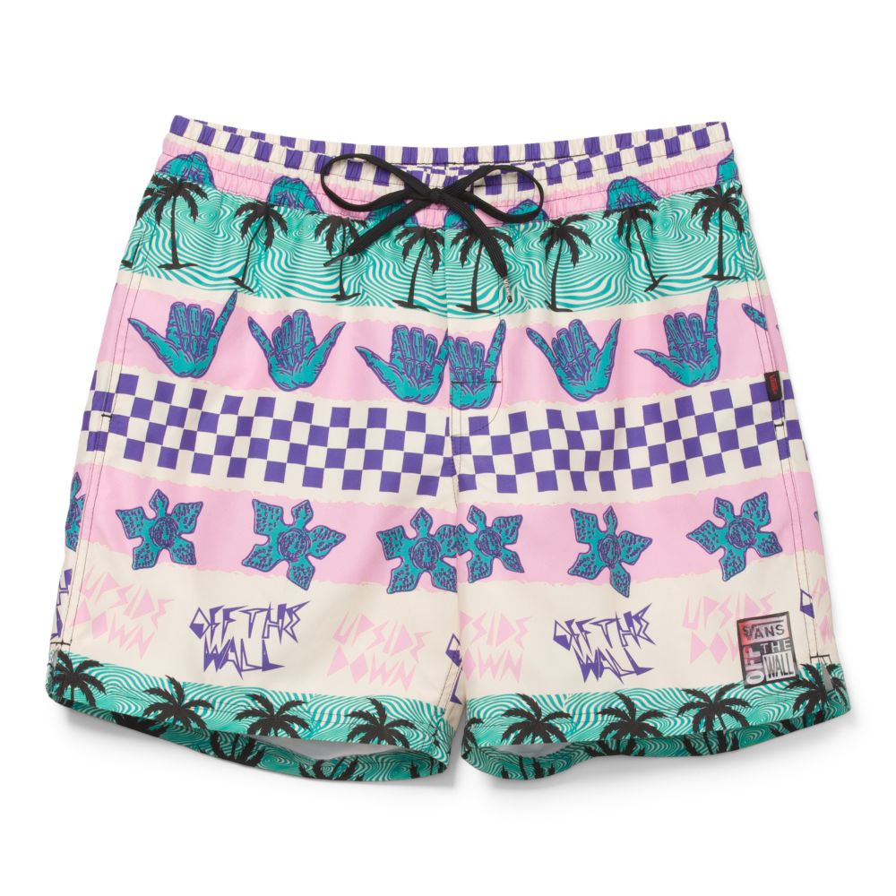 Vans Stranger Things California Stripe 17 Volley Shorts Herr Rosa | 36412JCYR