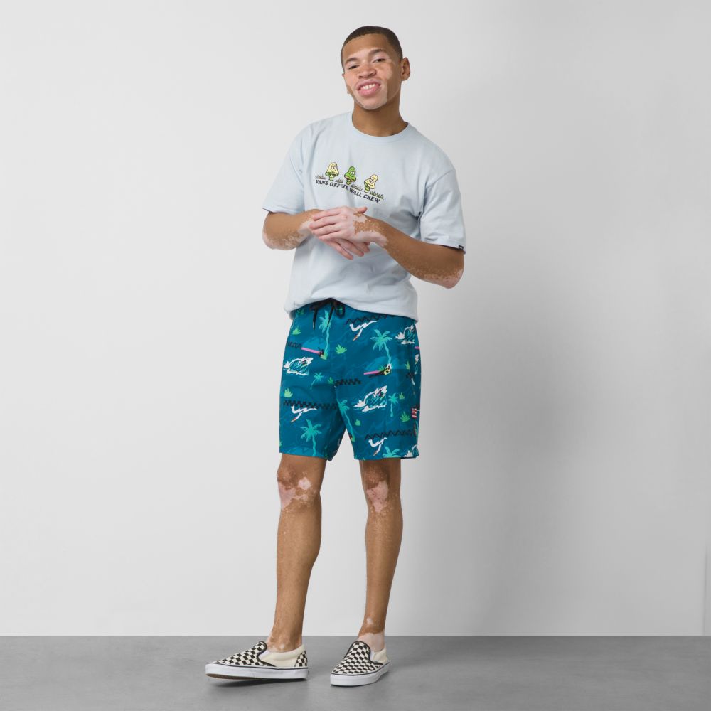 Vans VTCS 2022 19 Shorts Herr Blå | 81436HNVZ