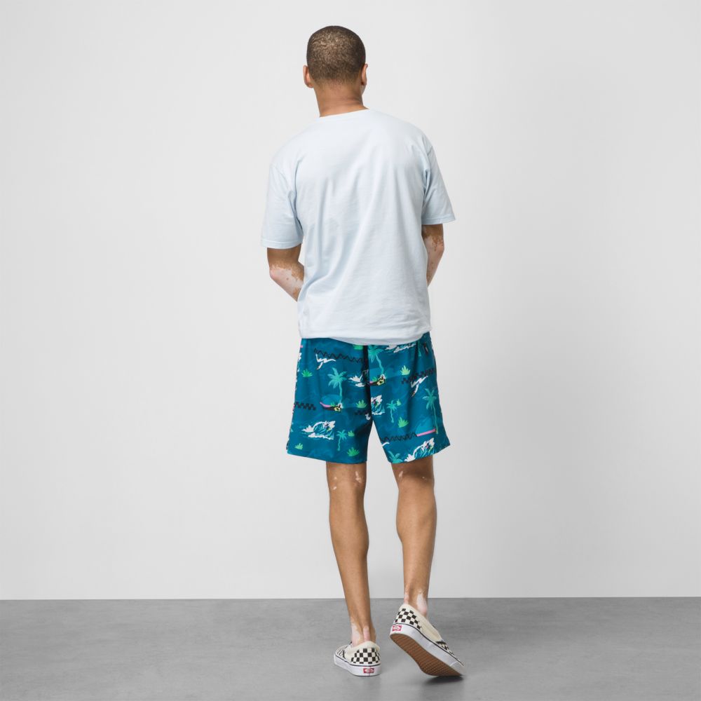 Vans VTCS 2022 19 Shorts Herr Blå | 81436HNVZ