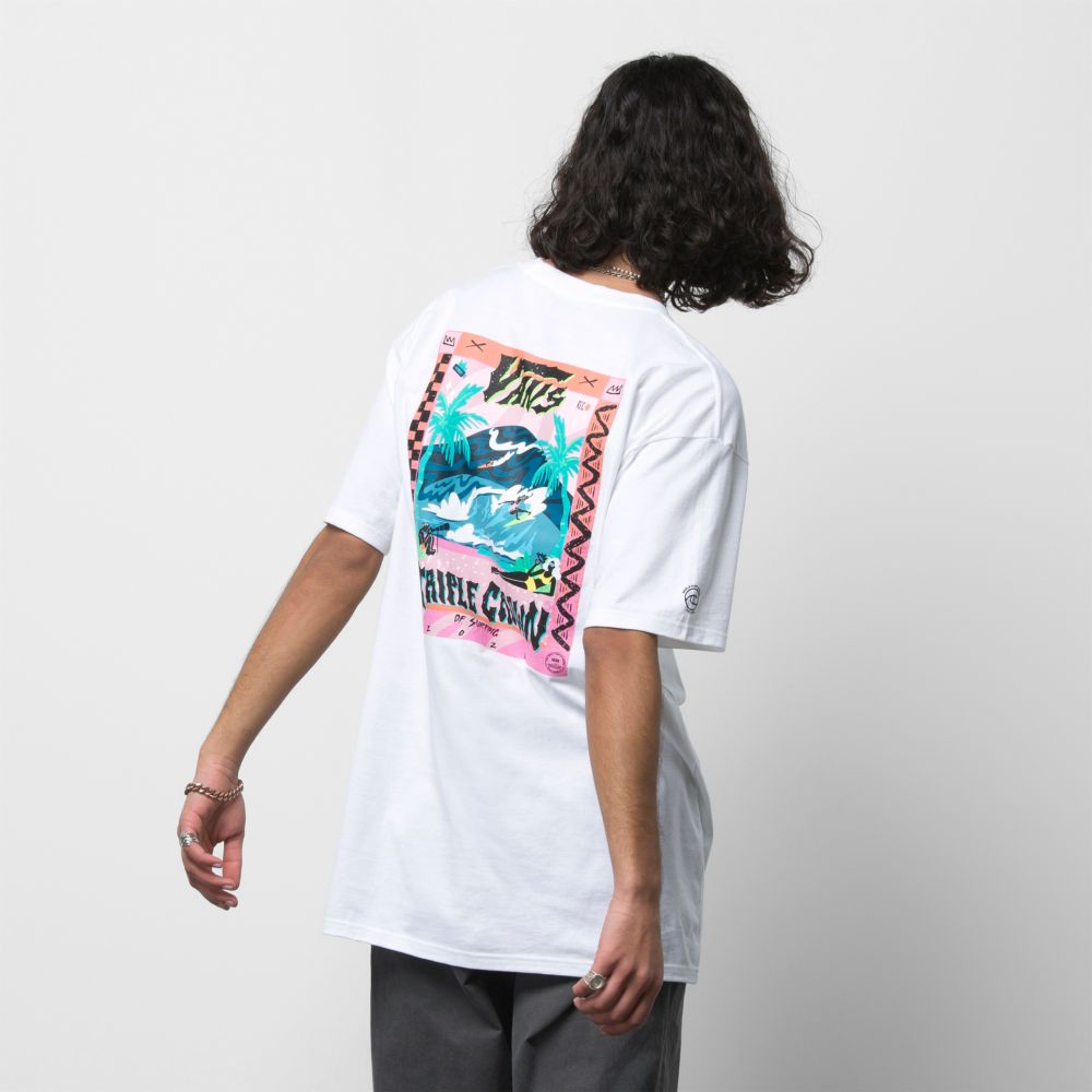 Vans VTCS 2022 Poster T-shirt Herr Vita | 28347WUMZ