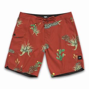 Vans Mixed 18 Shorts Herr Ormskinn | 01364MATY