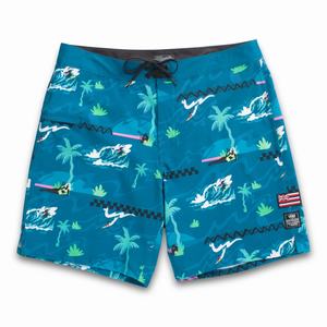 Vans VTCS 2022 19 Shorts Herr Blå | 81436HNVZ